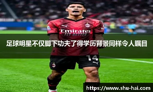 大荷兰等队